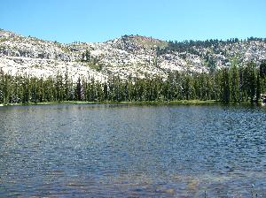 Original image