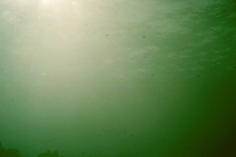 Original image