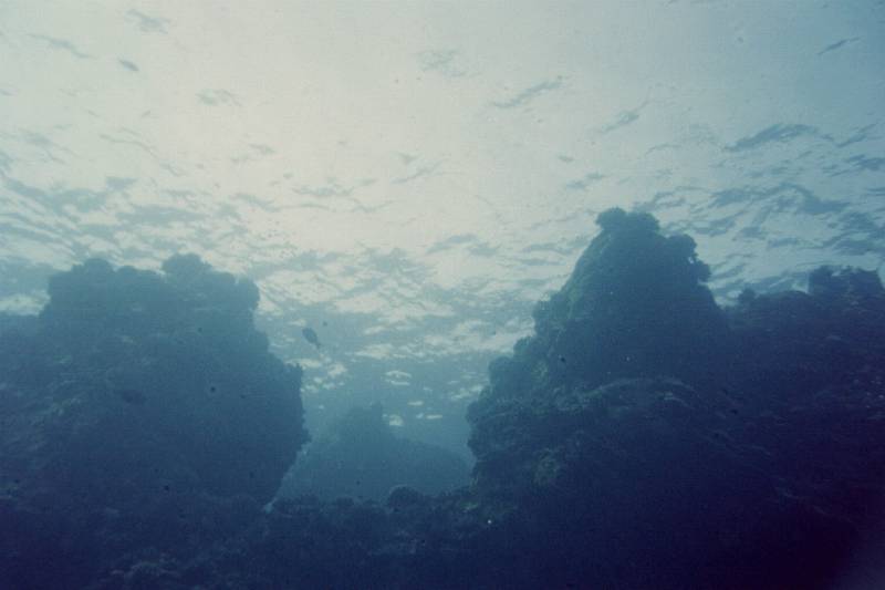 Original image