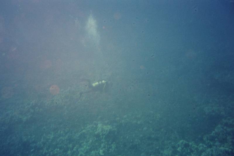 Original image