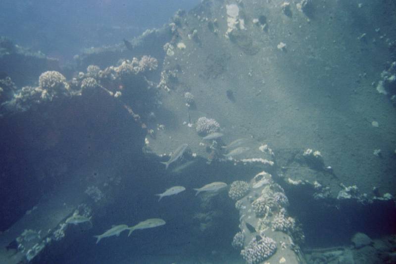 Original image