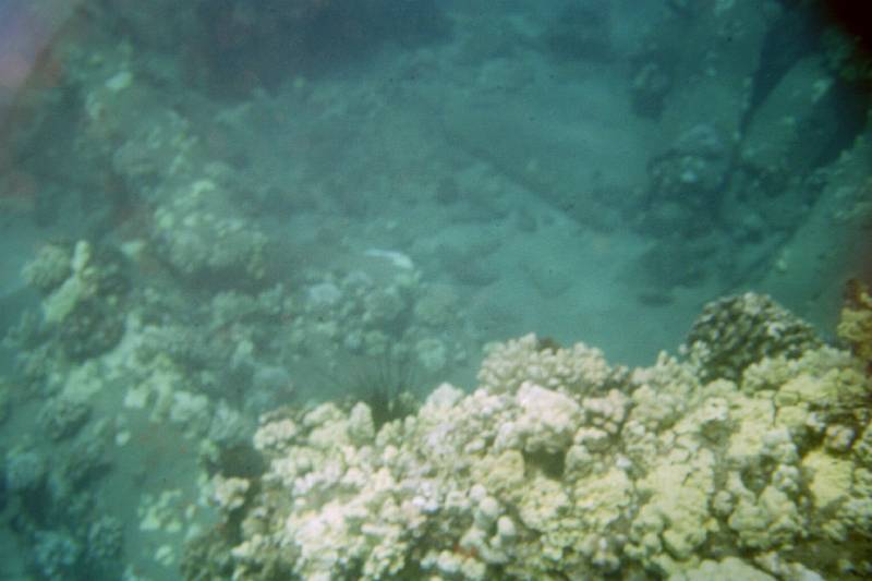 Original image
