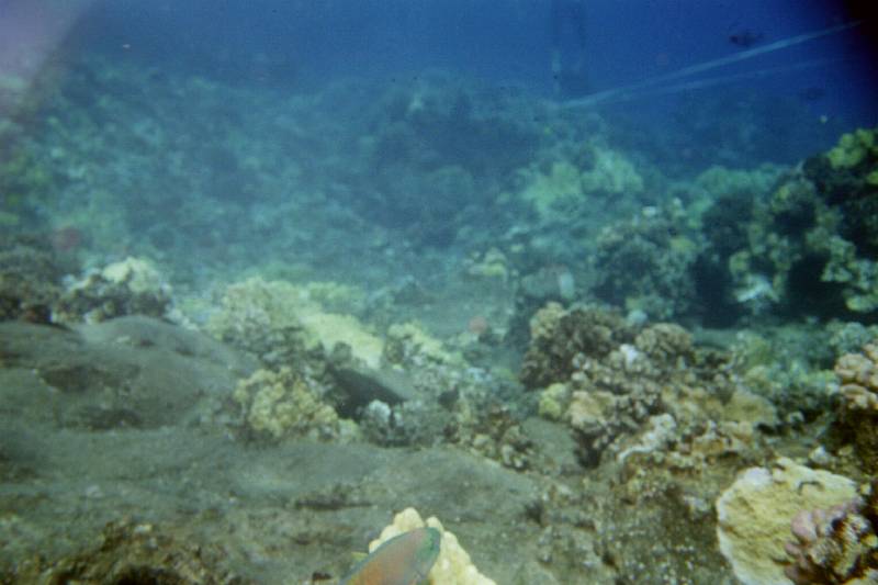 Original image