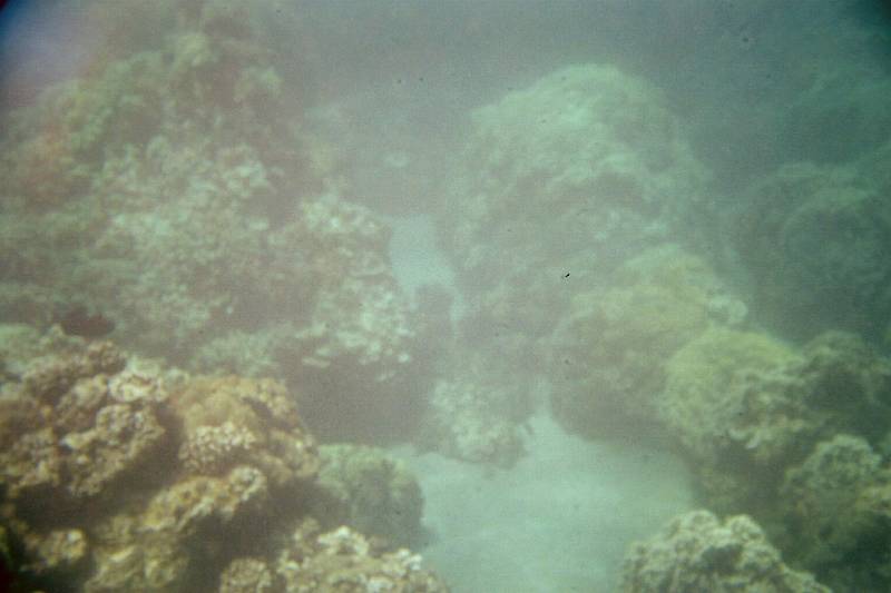 Original image
