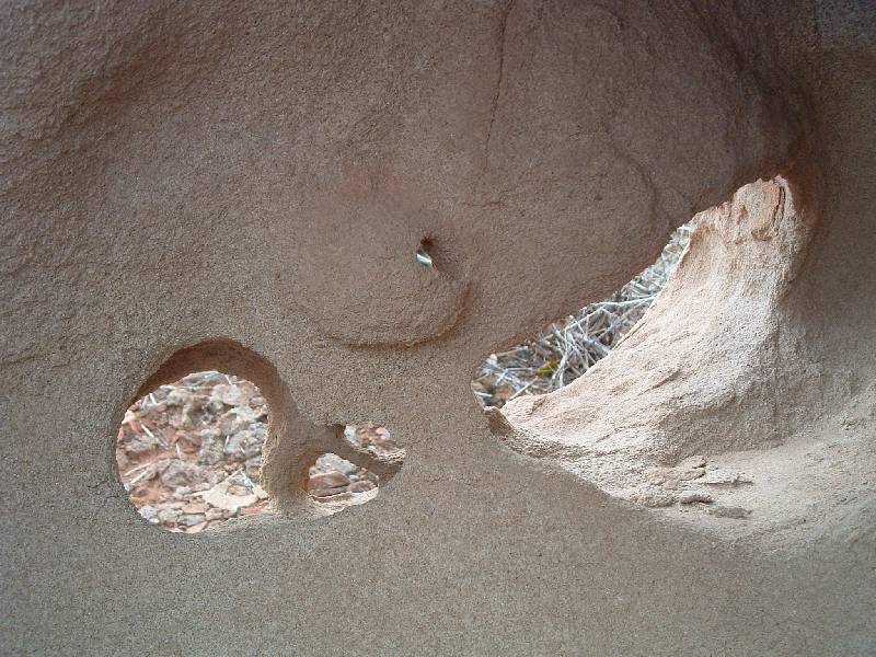 Original image