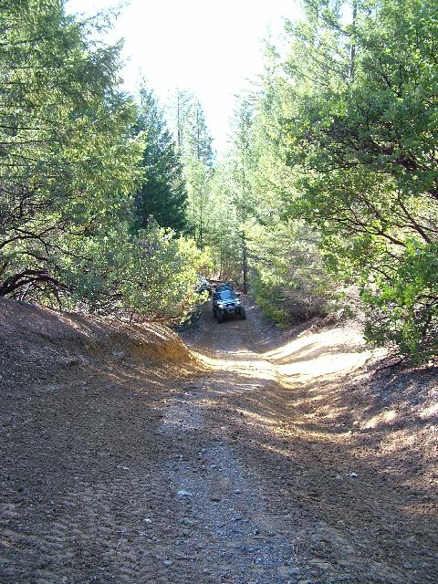 Original image