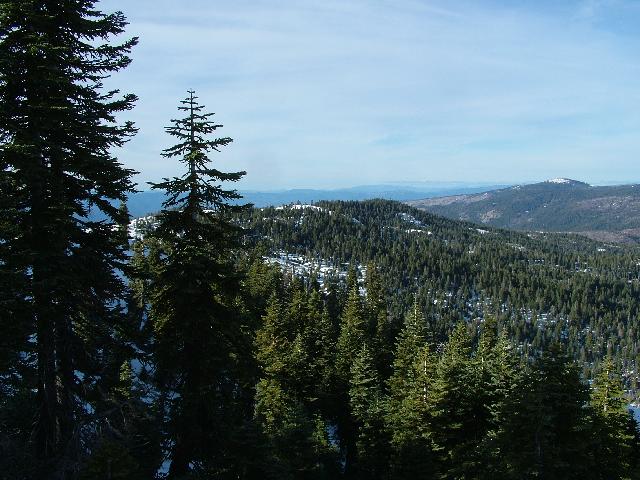Original image