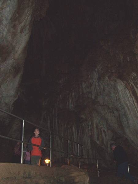 Original image