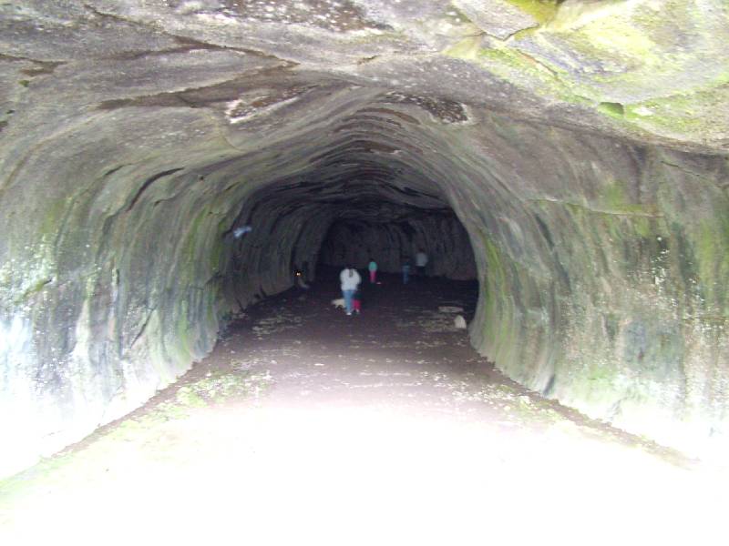 Original image