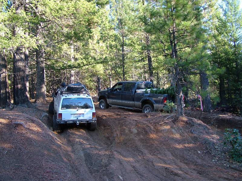 Original image