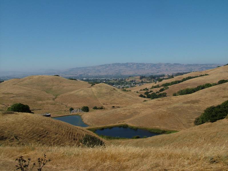 Original image