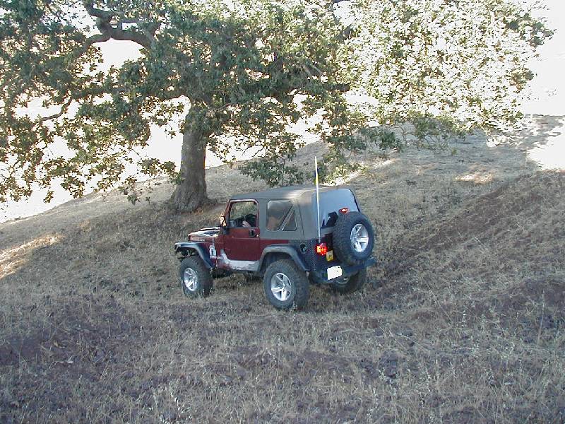 Original image
