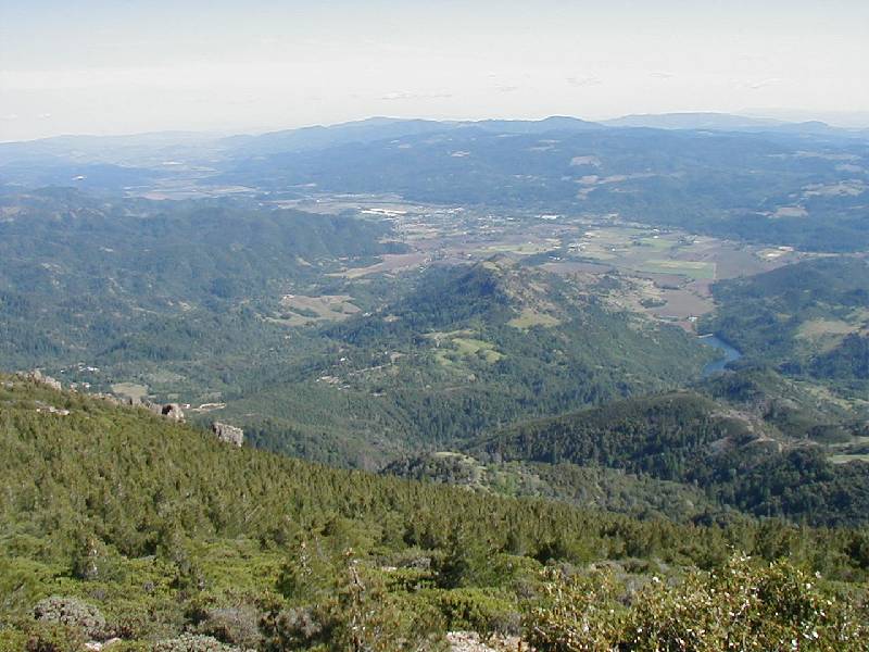 Original image