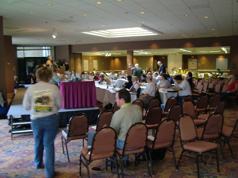 Original image