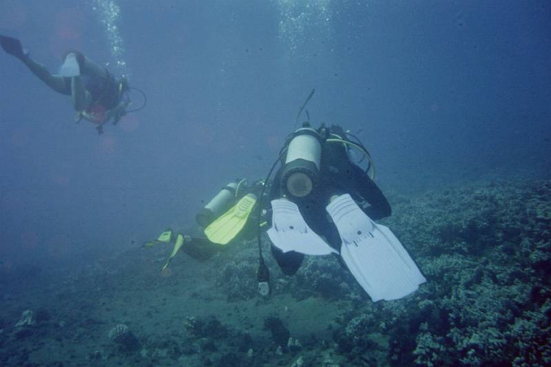 Original image