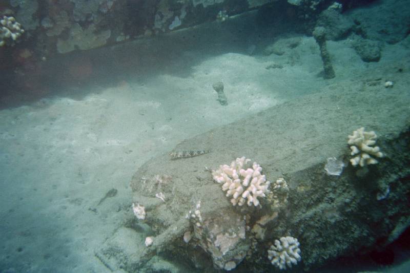 Original image