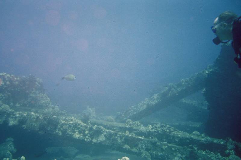 Original image