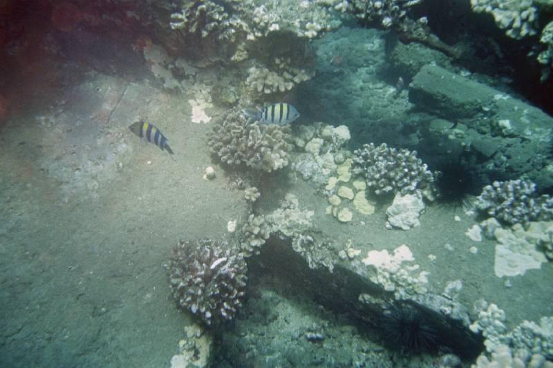 Original image