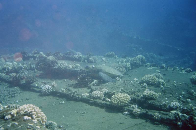 Original image