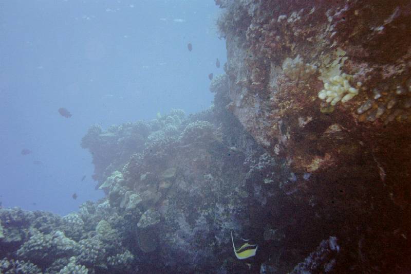 Original image