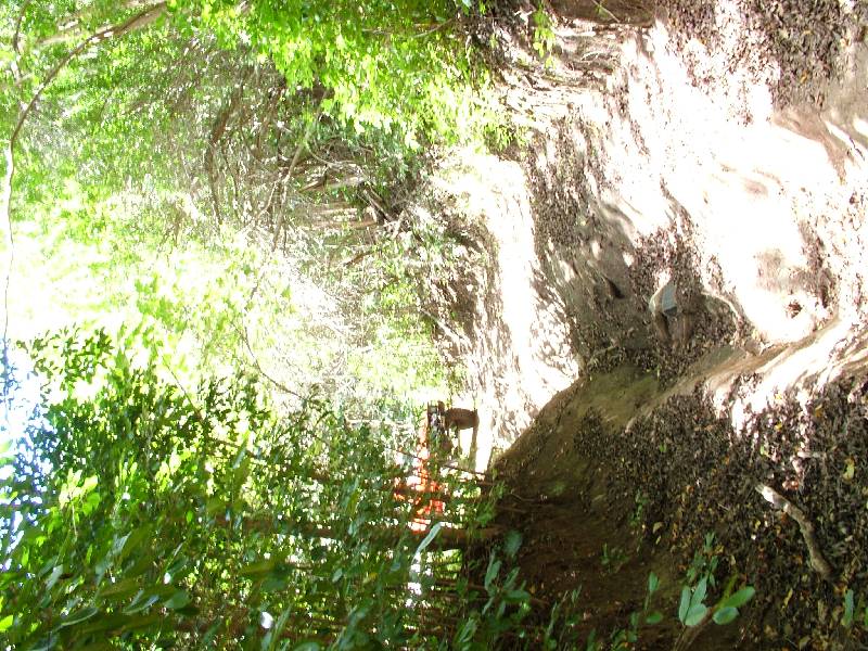 Original image