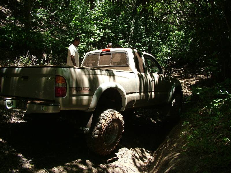 Original image
