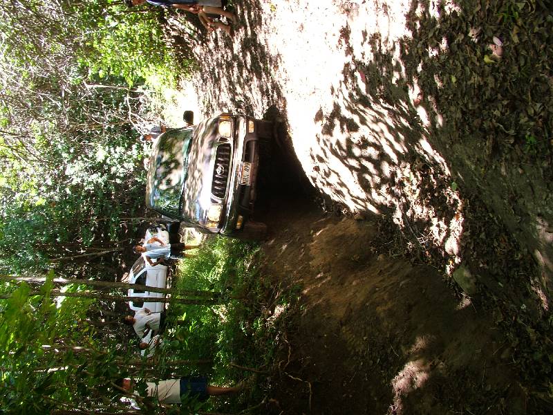 Original image