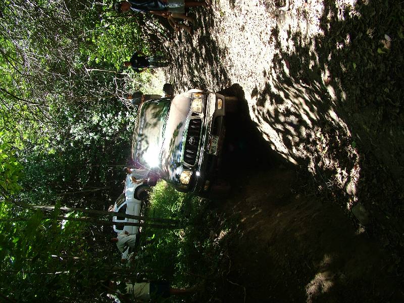 Original image