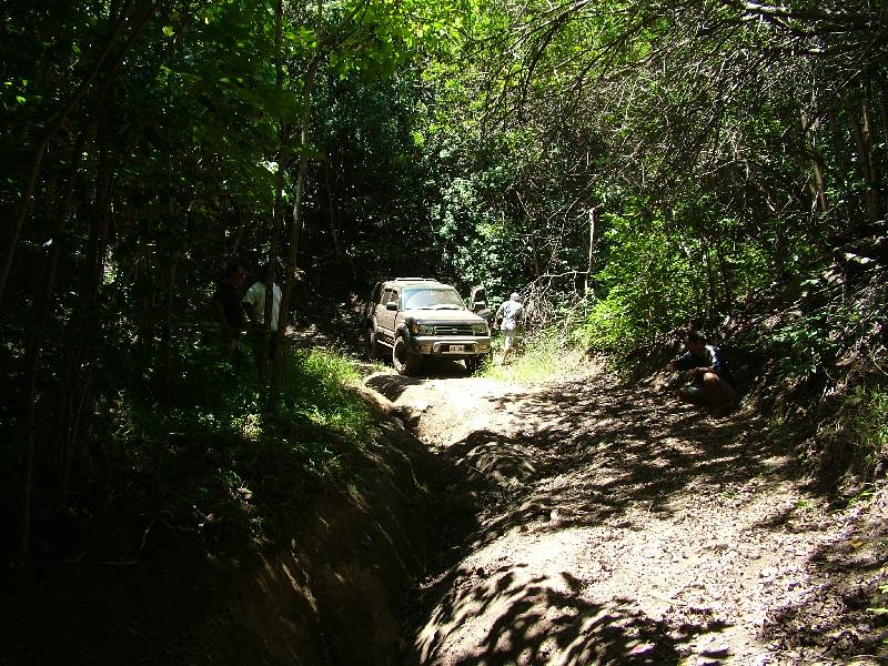 Original image