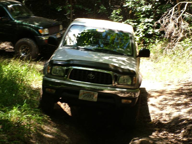 Original image