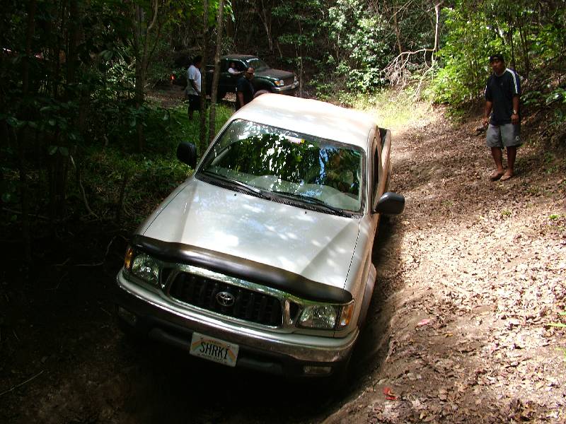Original image