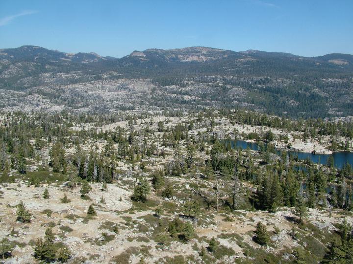 Original image