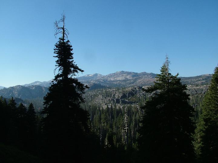 Original image