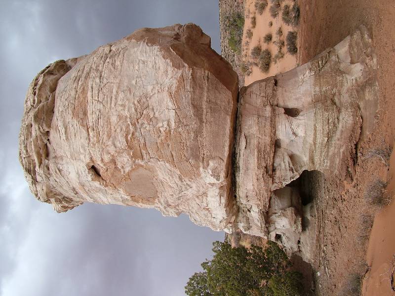 Original image