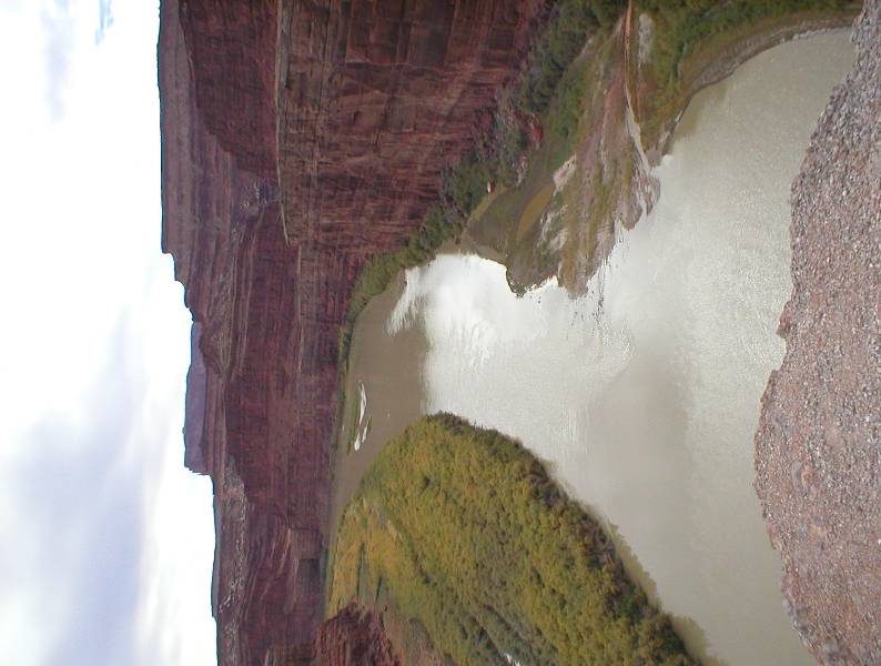Original image