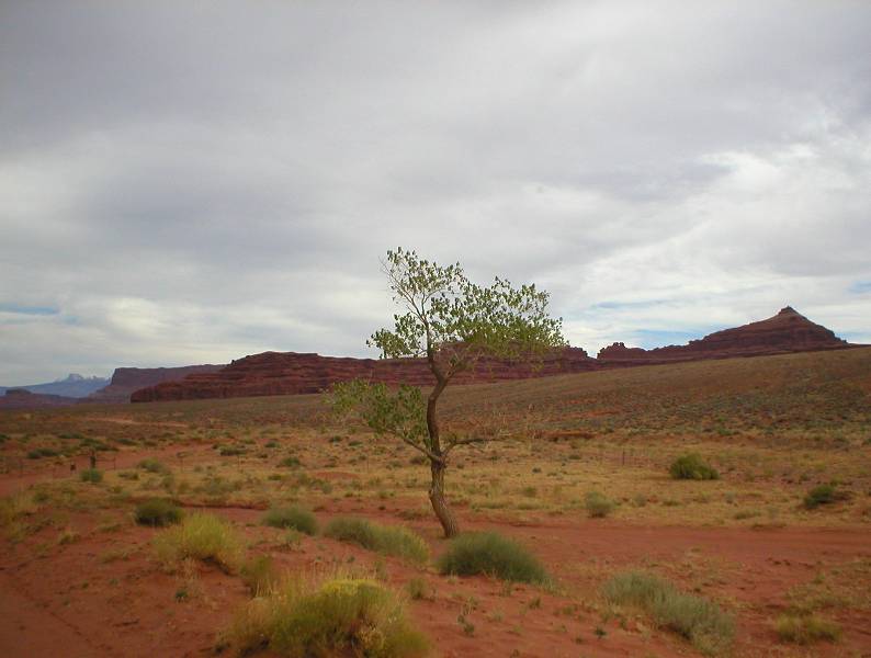 Original image