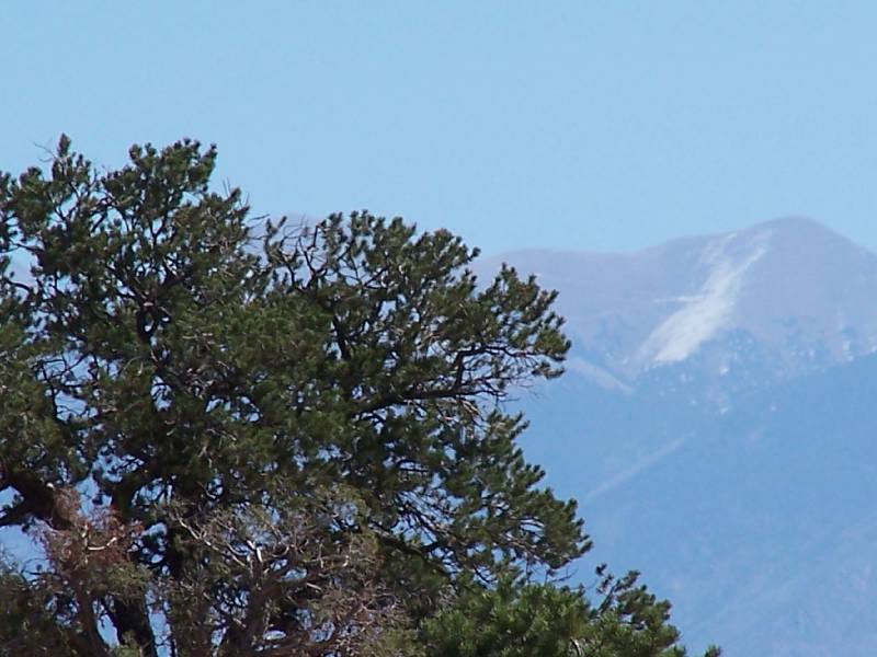Original image