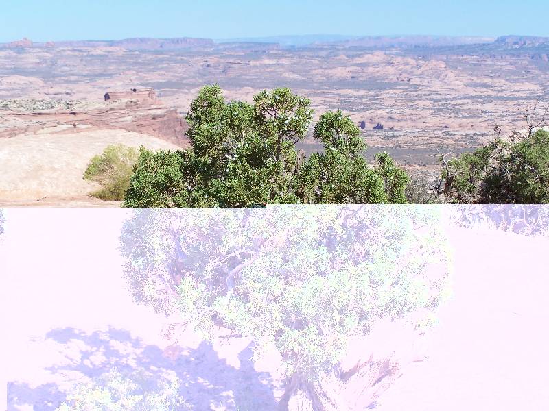 Original image