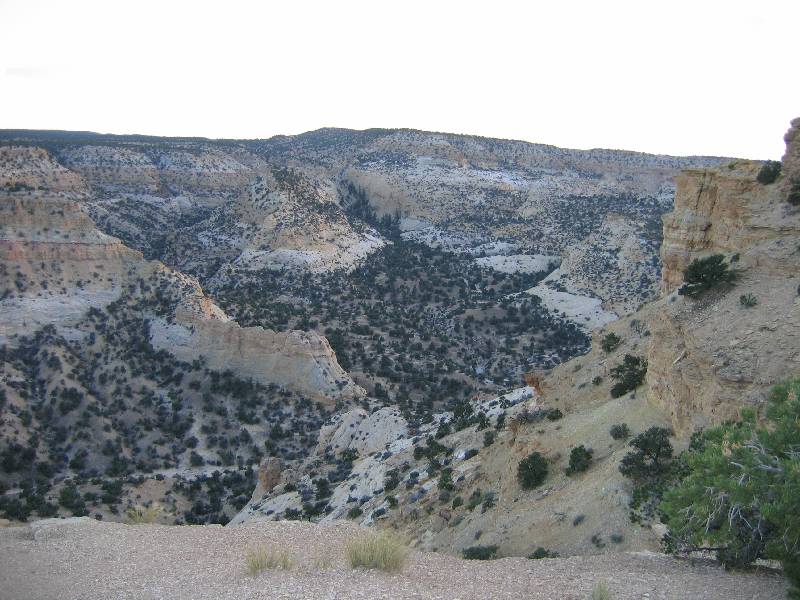 Original image