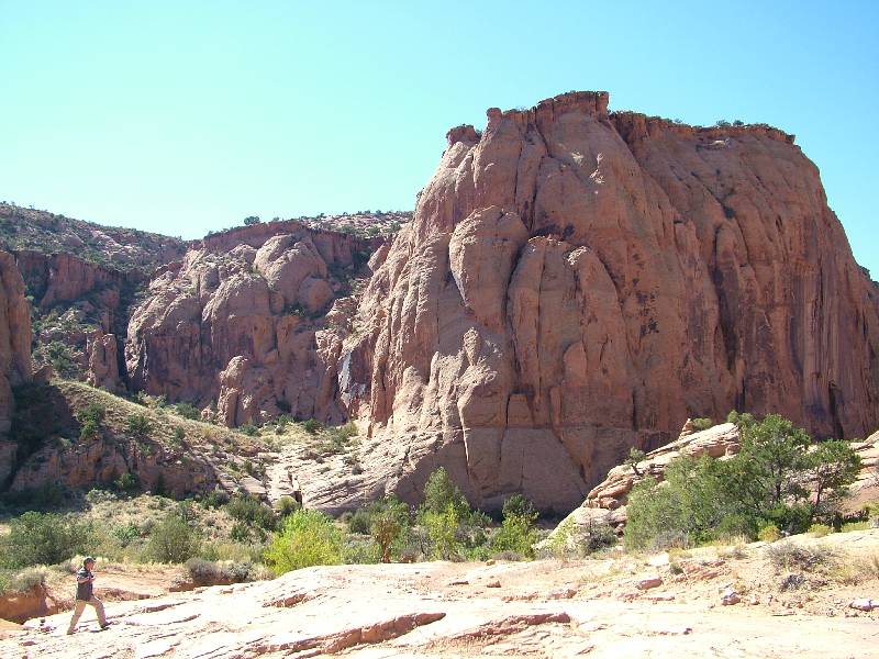 Original image