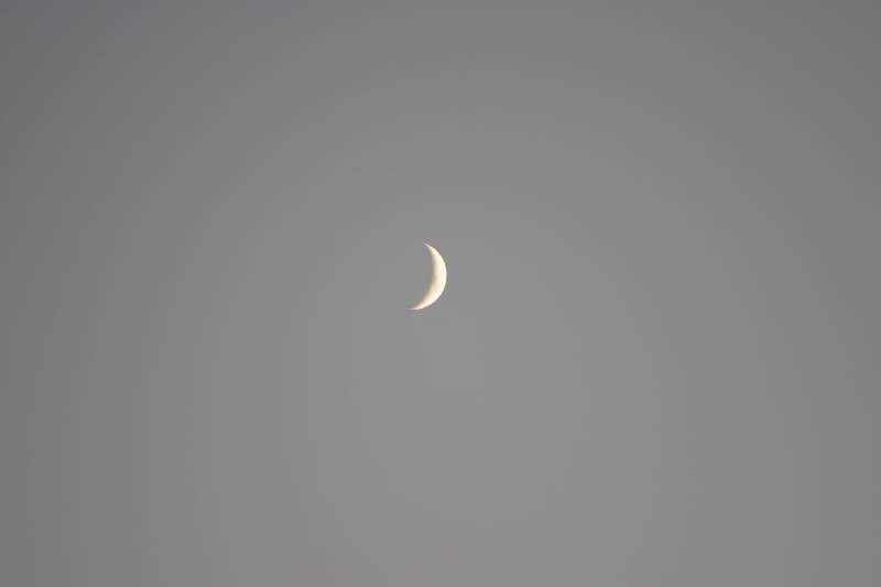 Original image