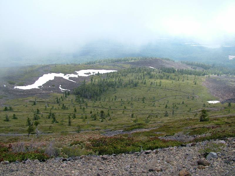 Original image