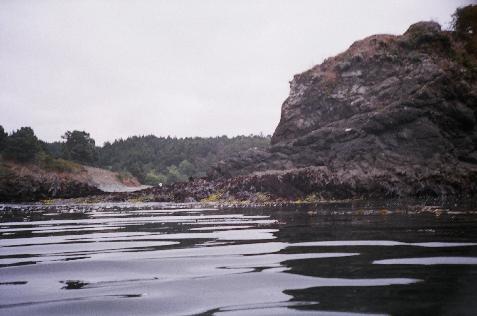 Original image
